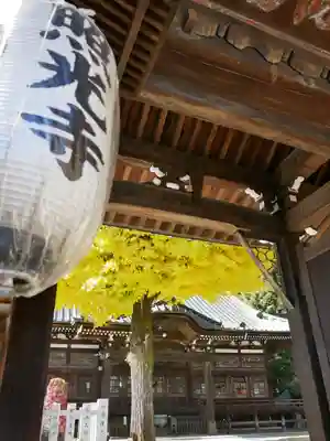 照光寺の山門・神門