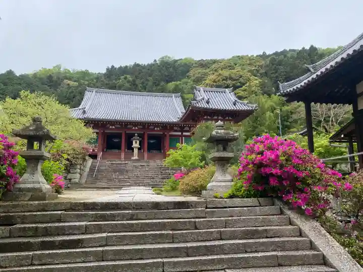 矢田寺観音堂の{uncategorized: "未分類", other: "その他", undefined: "問題あり", building: "その他建物", grave: "お墓", sacred_gate: "鳥居", guardian: "狛犬", statue: "像", buddha: "仏像", history: "歴史", nature: "自然", garden: "庭園", animal: "動物", pagoda: "塔", temizu: "手水舎", mountain_gate: "山門・神門", sanctuary: "本殿・本堂", subordinate: "末社・摂社", art: "芸術", scenery: "景色", jizo: "地蔵", ema: "絵馬", goshuin: "御朱印", omikuji: "おみくじ", items: "授与品その他", amulet: "お守り", goshuincho: "御朱印帳", eats: "食事", festival: "お祭り", votive_dance: "神楽", shichigosan: "七五三参", wedding: "結婚式", experience: "体験その他", initially: "初詣", around: "周辺", anti_infection: "感染症対策"}