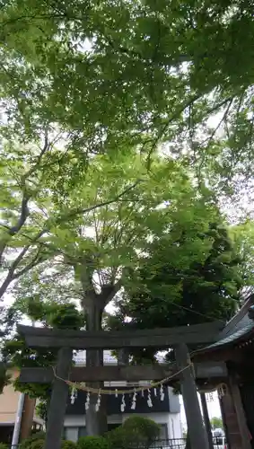 稲荷神社の鳥居