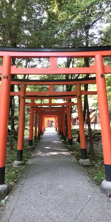 橿原神宮(奈良県)
