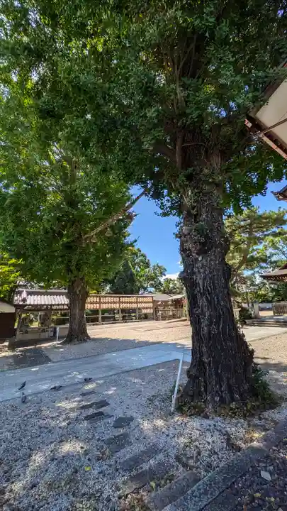 與杼神社(京都府)