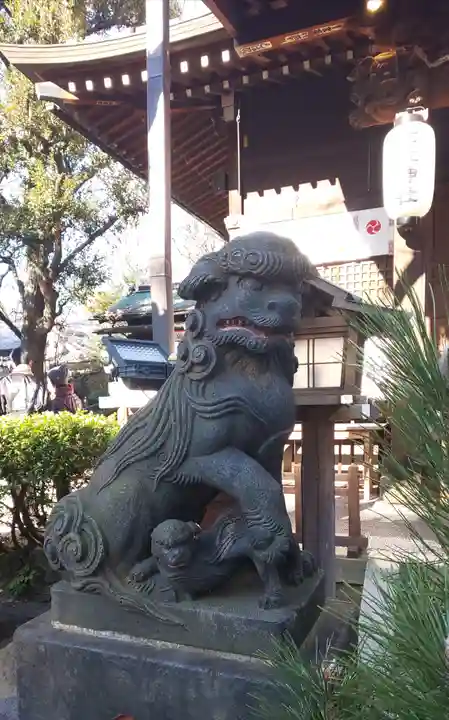七社神社の狛犬