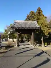 普済寺(群馬県)