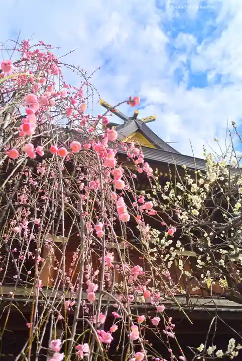 湯島天満宮(東京都)
