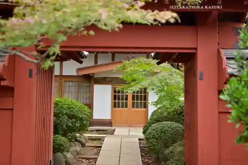 豪徳寺(東京都)