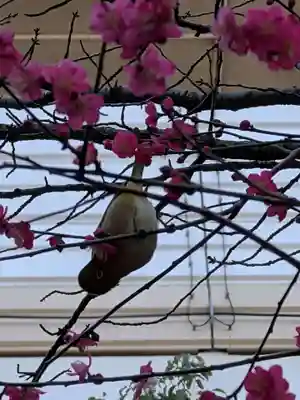 繁榮稲荷神社(東京都)