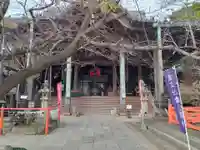 金剛宝寺(紀三井寺)の本殿・本堂