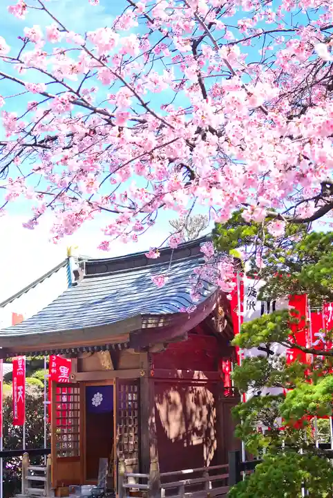 密藏院(埼玉県)