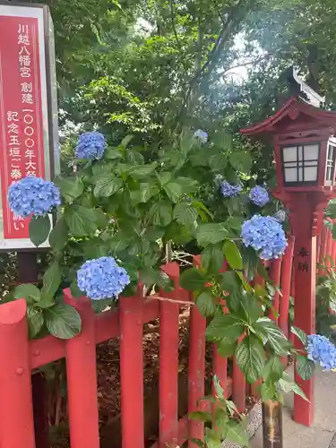 川越八幡宮(埼玉県)