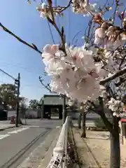 尾上神社(兵庫県)