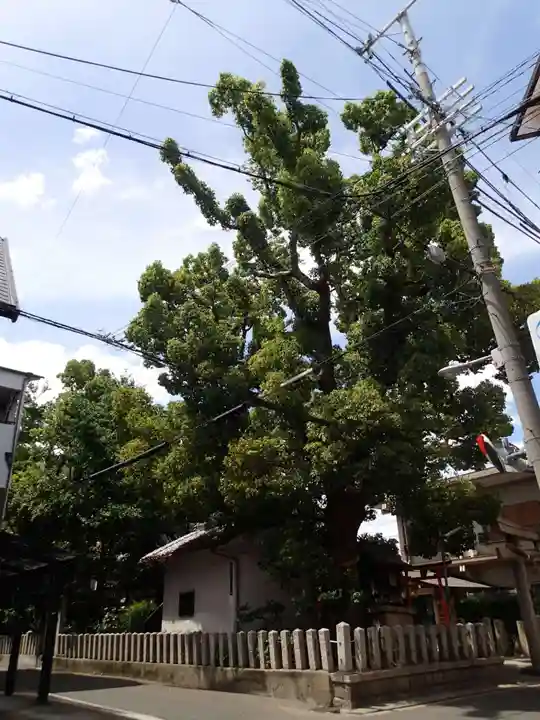 住吉神社の周辺