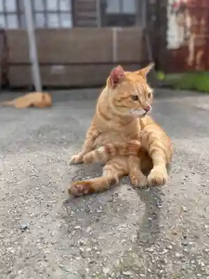 葛木二上神社(奈良県)