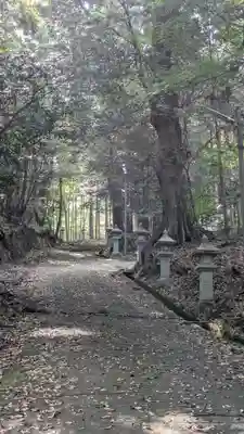 宇佐八幡神社(滋賀県)