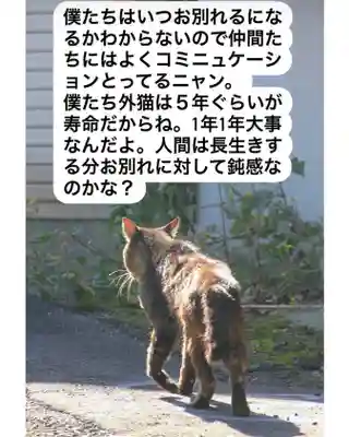 専念寺(大阪府)