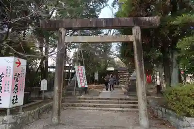 津島神社(愛知県)
