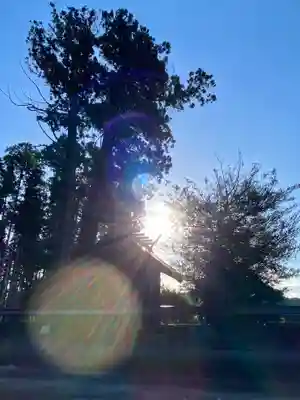 鹿嶋三嶋神社(茨城県)