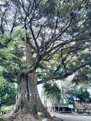 音無神社(静岡県)