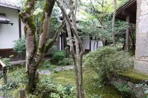 蓮華寺（洛北蓮華寺）の庭園