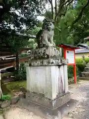 松尾大社の狛犬