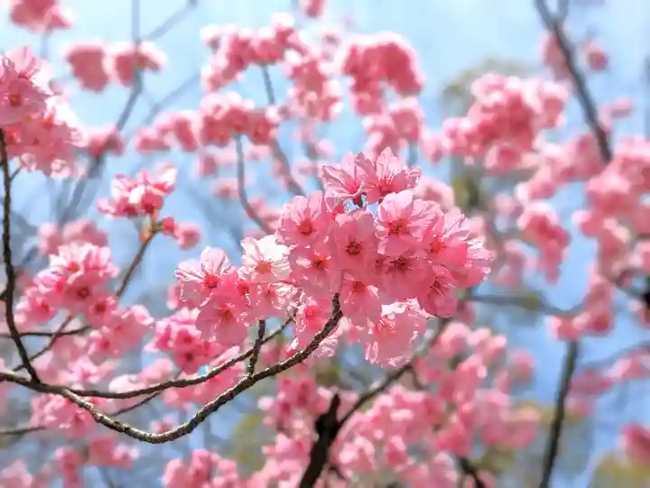 三津厳島神社(愛媛県)