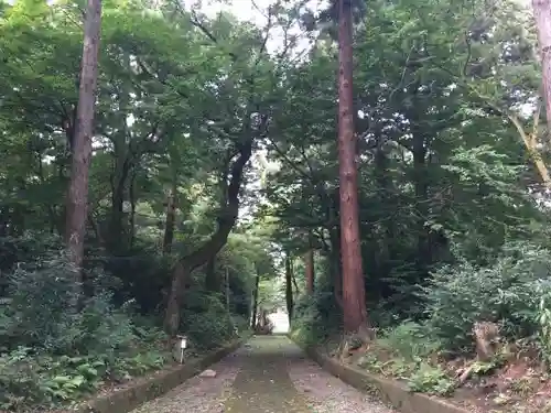 神明社の自然