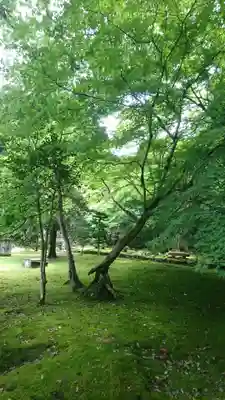 宗鏡寺のその他建物