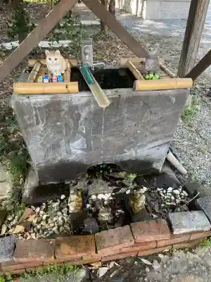 網戸神社の{uncategorized: "未分類", other: "その他", undefined: "問題あり", building: "その他建物", grave: "お墓", sacred_gate: "鳥居", guardian: "狛犬", statue: "像", buddha: "仏像", history: "歴史", nature: "自然", garden: "庭園", animal: "動物", pagoda: "塔", temizu: "手水舎", mountain_gate: "山門・神門", sanctuary: "本殿・本堂", subordinate: "末社・摂社", art: "芸術", scenery: "景色", jizo: "地蔵", ema: "絵馬", goshuin: "御朱印", omikuji: "おみくじ", items: "授与品その他", amulet: "お守り", goshuincho: "御朱印帳", eats: "食事", festival: "お祭り", votive_dance: "神楽", shichigosan: "七五三参", wedding: "結婚式", experience: "体験その他", initially: "初詣", around: "周辺", anti_infection: "感染症対策"}