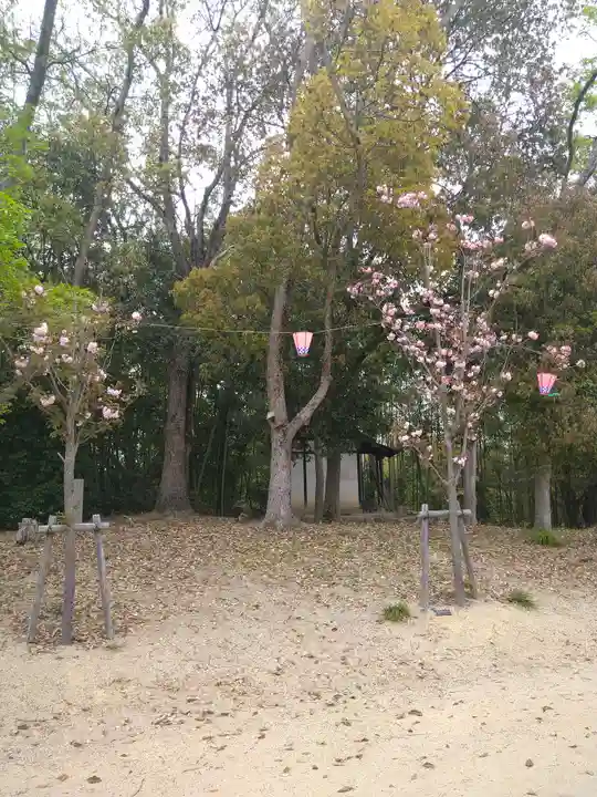 千光寺奥之院の自然