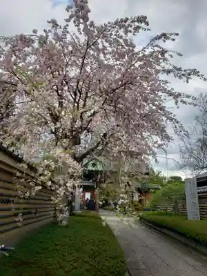 福蔵院(東京都)