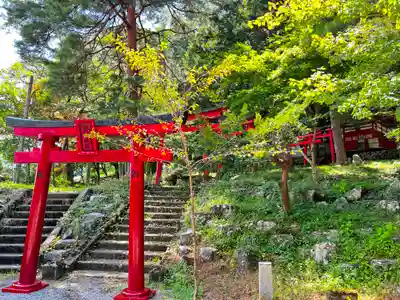 大津神社(岐阜県)