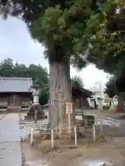 守公神社(愛知県)