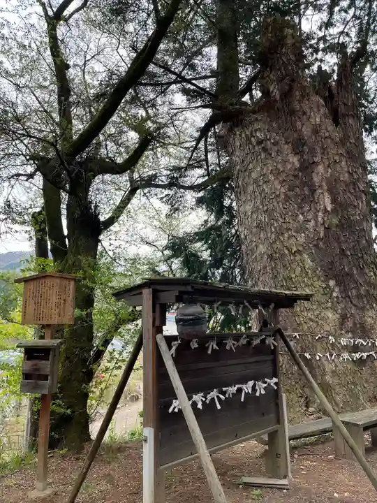 若宮八幡神社のその他建物