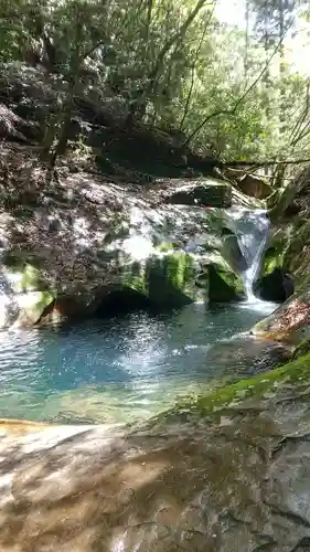 龍鎮神社の自然