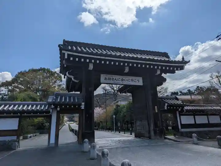 知恩院(京都府)