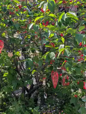 今戸神社(東京都)