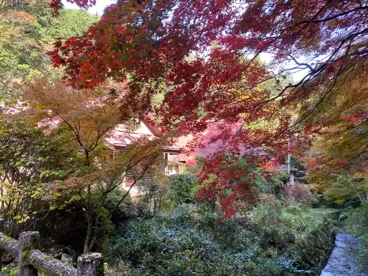 龍蔵寺(兵庫県)