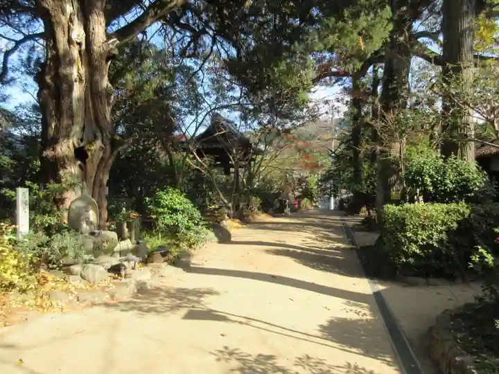 浄瑠璃寺(愛媛県)