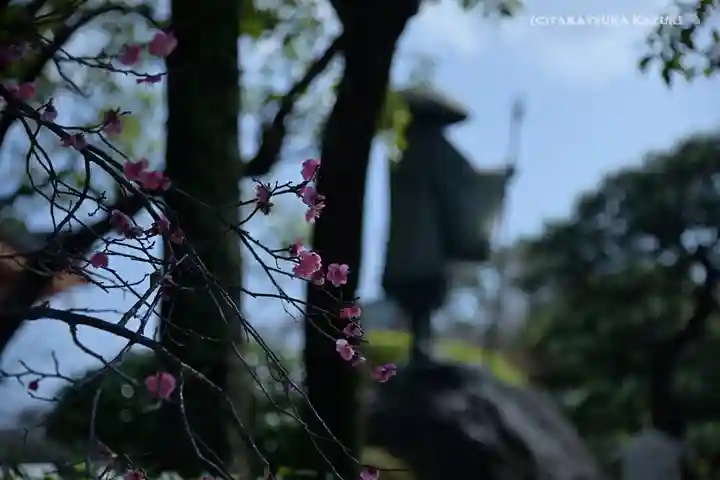 川崎大師(平間寺)の自然