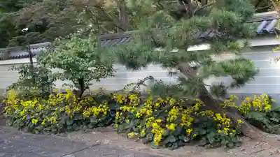 興聖寺(京都府)