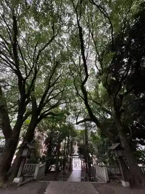 洲崎大神(神奈川県)