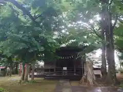 神山氷川神社の本殿