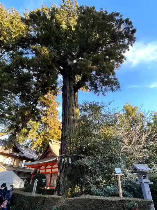 香取神宮(千葉県)