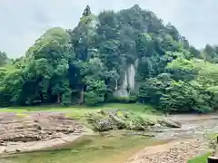 大野寺の自然