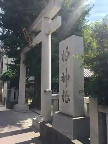 柏神社の鳥居