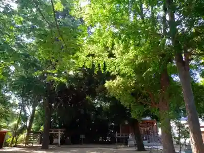 初富稲荷神社(千葉県)