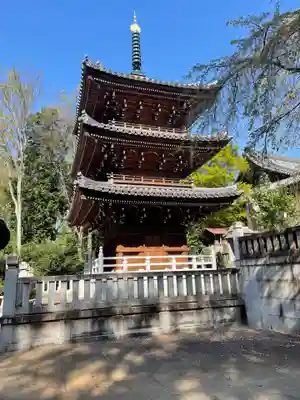 金蔵寺(千葉県)