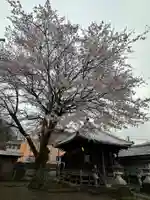 祐照庵 大戸観音堂(東京都)