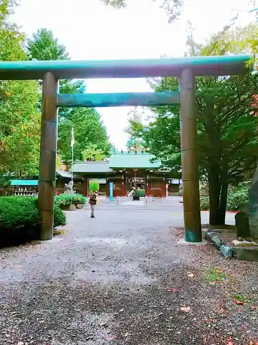 琴似神社の鳥居