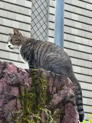 王子神社(徳島県)