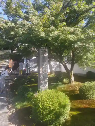 圓光寺の{uncategorized: "未分類", other: "その他", undefined: "問題あり", building: "その他建物", grave: "お墓", sacred_gate: "鳥居", guardian: "狛犬", statue: "像", buddha: "仏像", history: "歴史", nature: "自然", garden: "庭園", animal: "動物", pagoda: "塔", temizu: "手水舎", mountain_gate: "山門・神門", sanctuary: "本殿・本堂", subordinate: "末社・摂社", art: "芸術", scenery: "景色", jizo: "地蔵", ema: "絵馬", goshuin: "御朱印", omikuji: "おみくじ", items: "授与品その他", amulet: "お守り", goshuincho: "御朱印帳", eats: "食事", festival: "お祭り", votive_dance: "神楽", shichigosan: "七五三参", wedding: "結婚式", experience: "体験その他", initially: "初詣", around: "周辺", anti_infection: "感染症対策"}